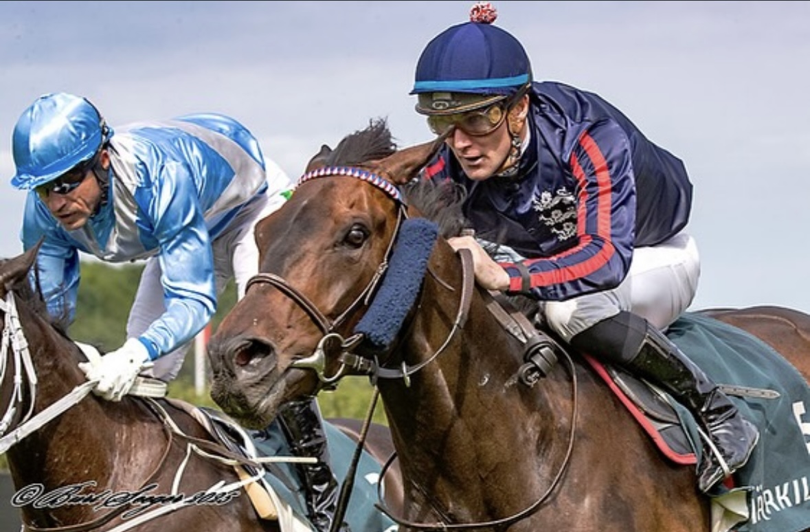 Monte Wilson Racing Wilson Racing - Professional Horse Training